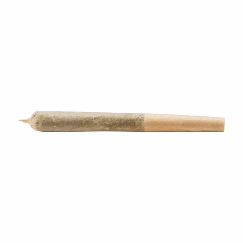 Versus - BC God Bud Pre-Roll