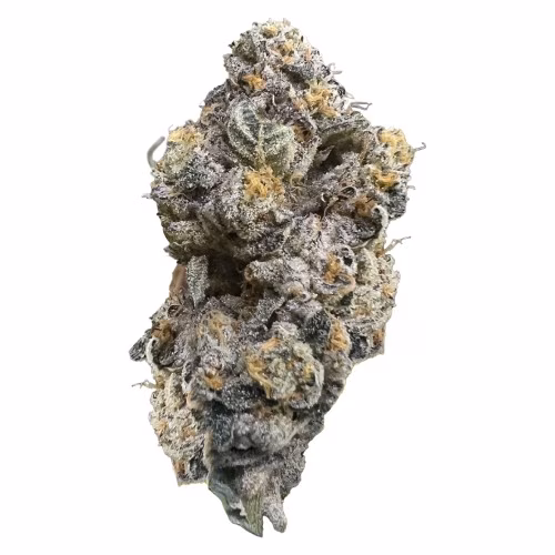 HighXotic - Royal Dive #3: Hindu Glue