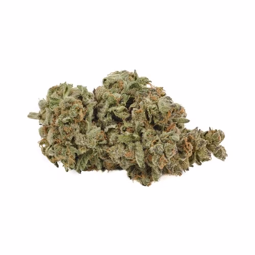 Back Forty - Apple Fritter