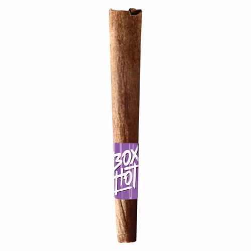 BOXHOT - Guava Stardawg Stubbies