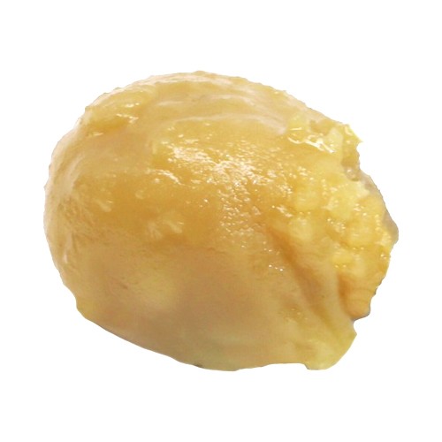 The Goo! - Brain Fruit Live Rosin