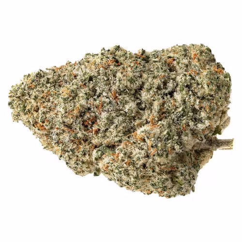 Pure Sunfarms - Lemon Octane