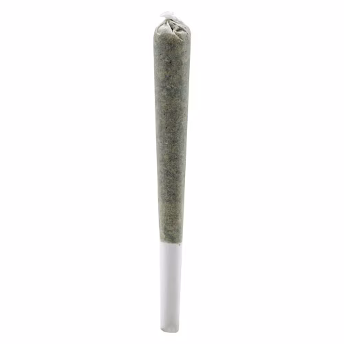 Simply Bare - Fire OG Rosin Roll