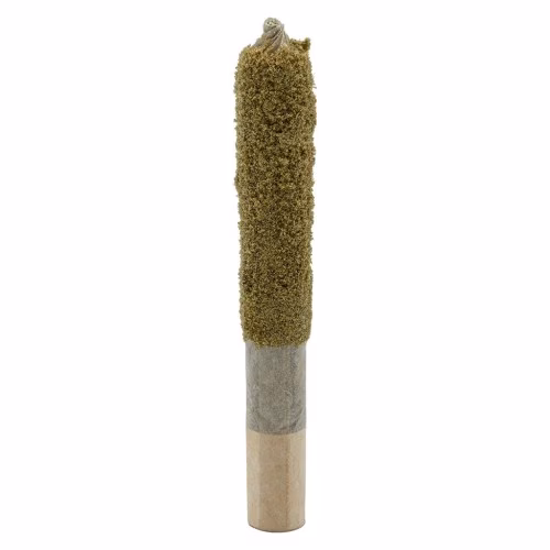 Mosa x Blood Orange Dusted Dank 1 Infused Pre-Roll
