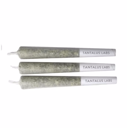Tantalus Labs - Key Lime MAX Infused