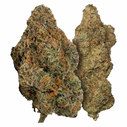 Carmel - Two Pack: Orange Zushi & White Stank