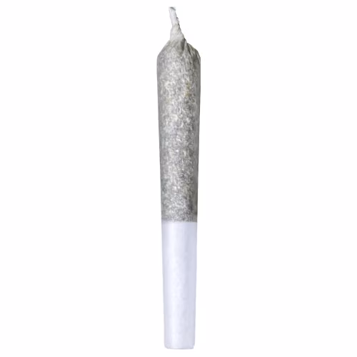 Irony - Candyland - Pre-Rolls