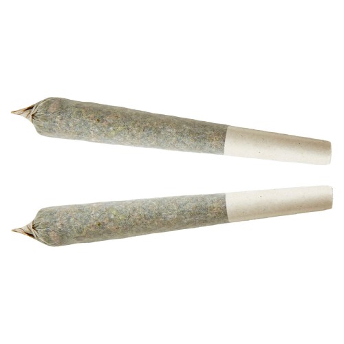 XPLOR - Sativa