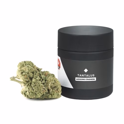 Tantalus Labs - Wedding Crashers