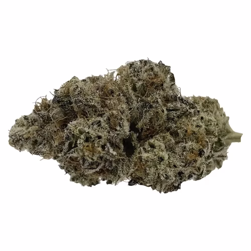 Microcannabi - Grease Monkey