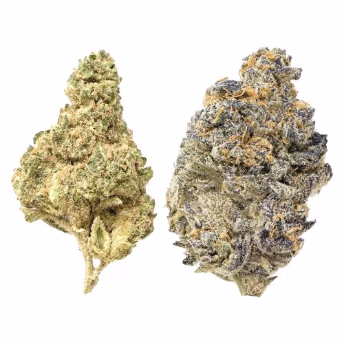 Snicklefritz - Candi Gas Milled DUO - Froot Stripez & Gas Tingz