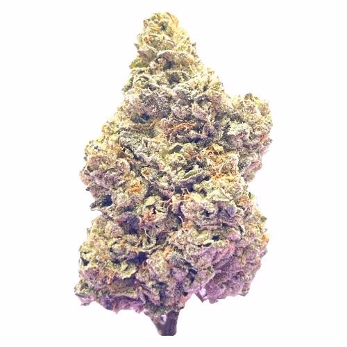 Royal Dive #7: Scarface OG