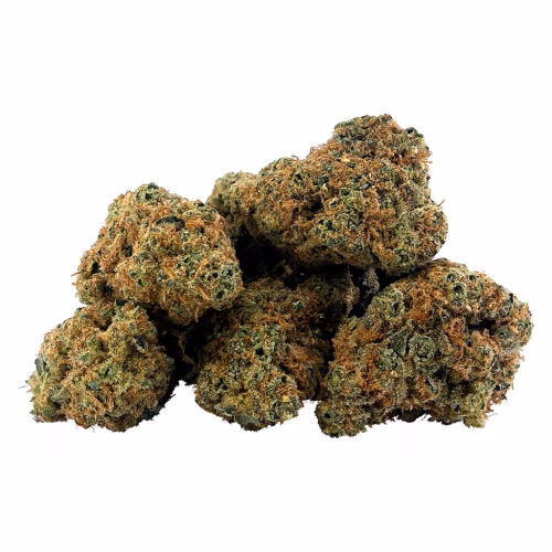 BC 1/4 - Gasserole