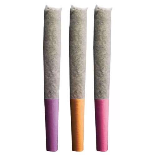 Pistol and Paris - Pink Panties, Orange Tingz & Blackberry Breath