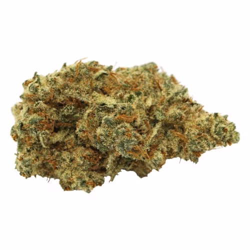 Wildlife Cannabis Co. - Blackberry Gelato
