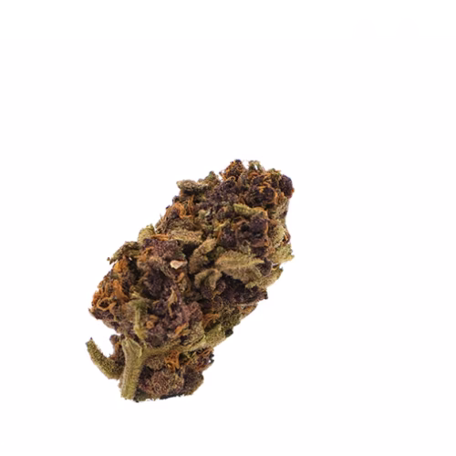 Potluck - GINGERBREAD KUSH