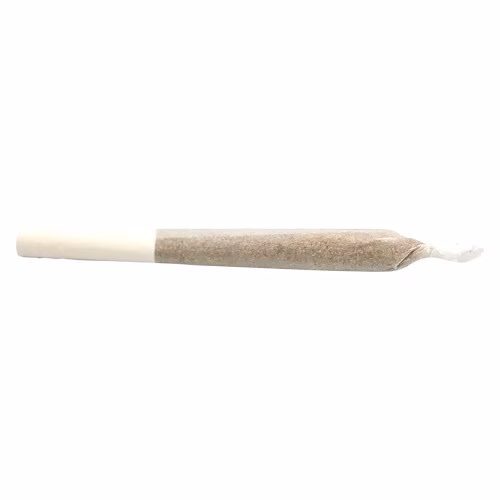 Lemon-Up Pre-Roll