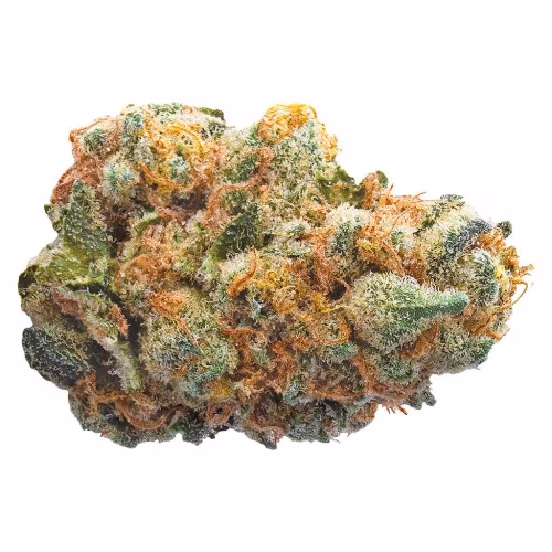 GMO Cookies