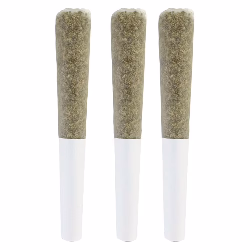 The Goo! - The Goo! - GOOBIES! Live Rosin Infused Pre-Rolls - Hybrid - 3x0.5g