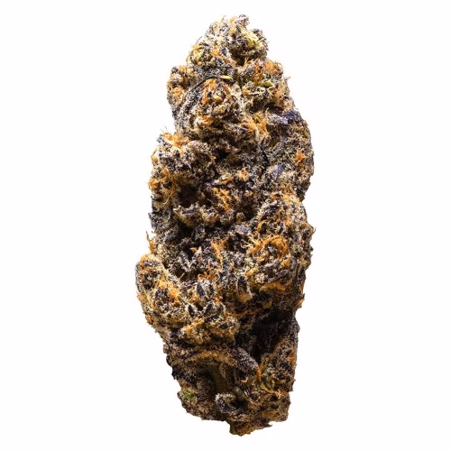 3rd Coast Genetics - Frozen Cola