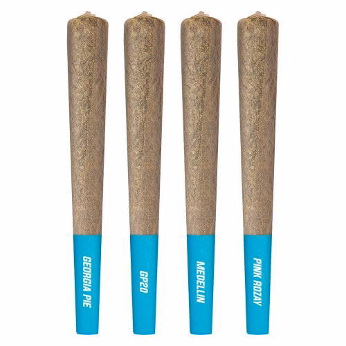 Cookies - 4 Cultivar