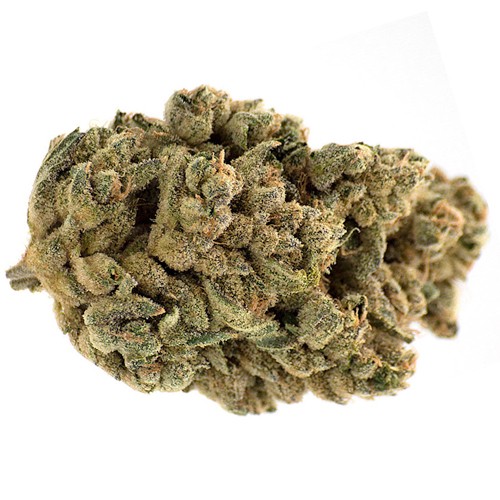 MTL Cannabis - Jungl' Cake