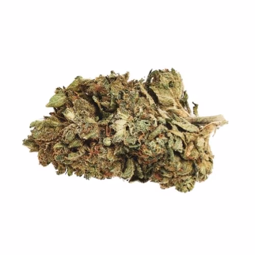 5 Points Cannabis - ZXFPOG