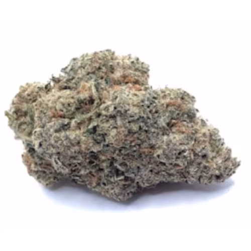 MIDS - Animal Cookies
