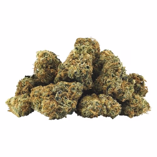 BC Smalls - Electric Lotus Smalls