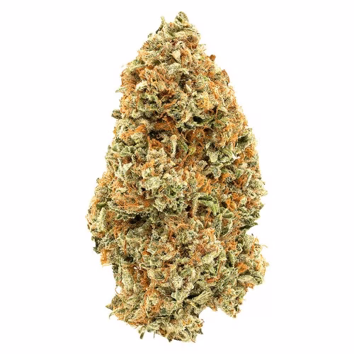 1964 - Organic Super Lemon Haze