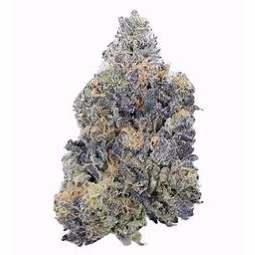 Grape Slushee