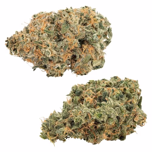 Holy Mountain - Dynamic Duos: Purple Punch Out!! + Ultra Jean-G Combo Pack