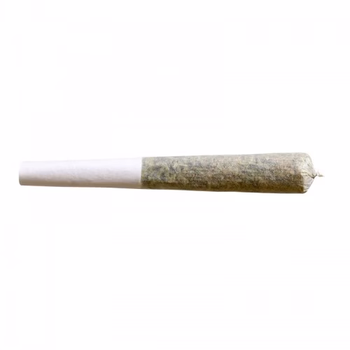 Trailblazer - Flicker Stix