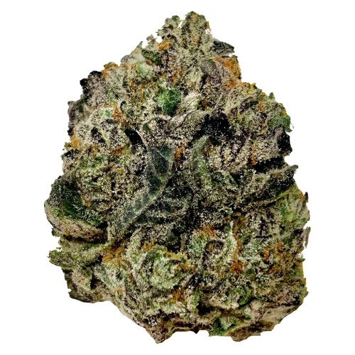 BC Green - Modified Grapes