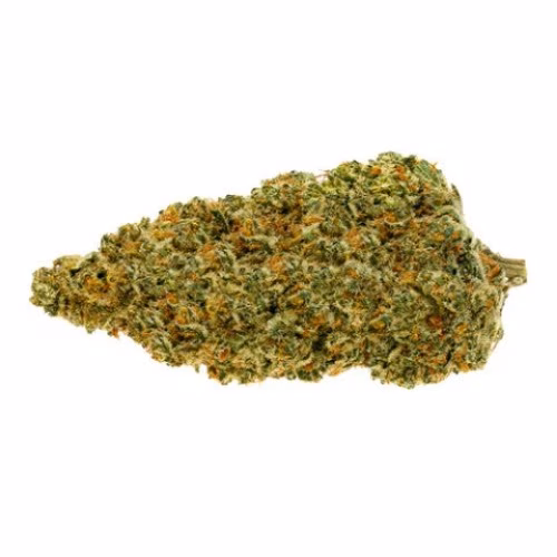 Pure Sunfarms - Gold Face