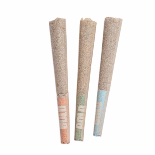 BOLD - Craft Sampler Pre-Roll