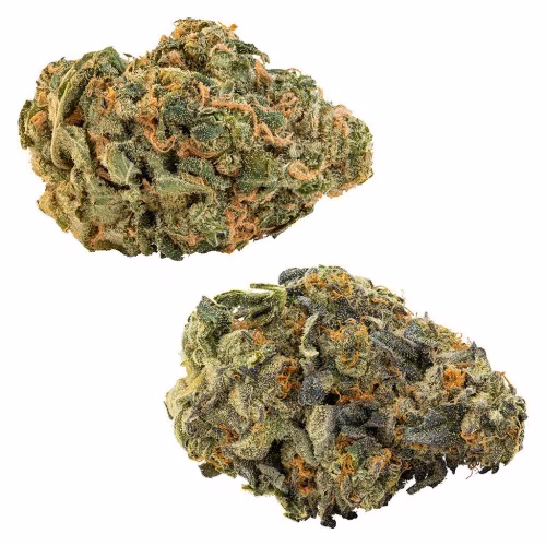 Big Bag O' Buds - CombOz: I.C.C. + Ultra Sour