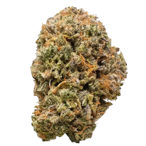 Battle River Bud - Fossil Fuel