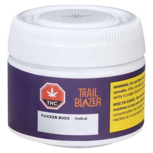 Trailblazer - Flicker Buds