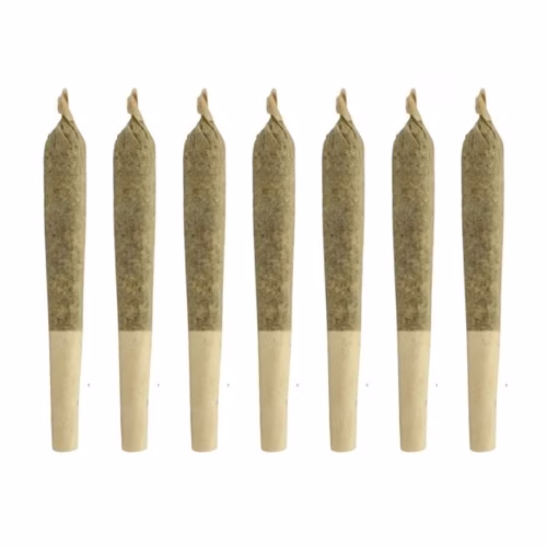 Rocky Mountain Cannabis - Red Congo x Guava