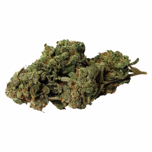 Bambu Select - Double Donny