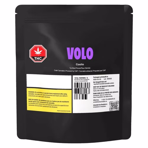 VOLO - Orange Turp