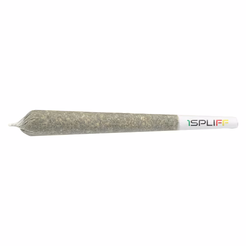 1SPLIFF - Spliff Caddy Pre-Roll