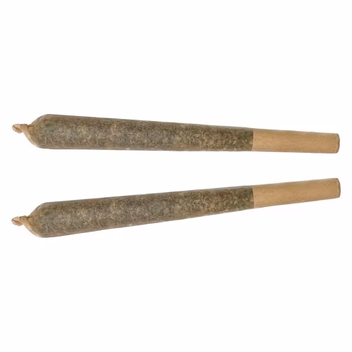 XPLOR - Funky Monkey Indica