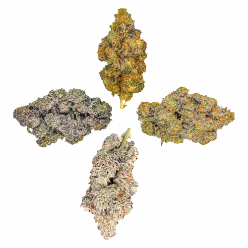 HighXotic - Royal Collection: The Quartet