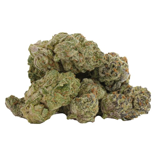 Castle Rock Farms - Glitterbomb X Rainbow Cheddar #5