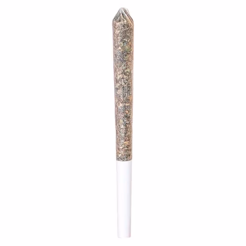 Station House - Northern Lights Pre-Roll