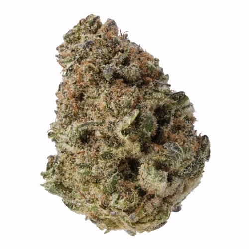 Bake Sale - All Purpose Flower Indica