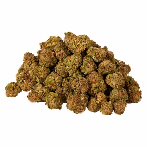 Twd.28 - Sativa Bud