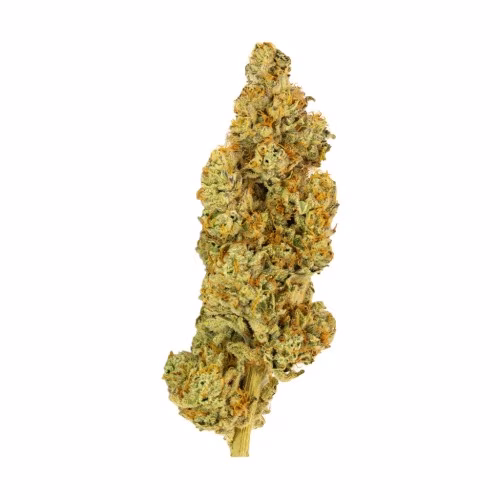 Concept Herbo - Broughton Grass